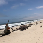 Namibie : du désert à l&rsquo;océan/Del desierto al oceano