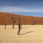 Rouge comme les dunes namibiennes/Rojo como las dunas