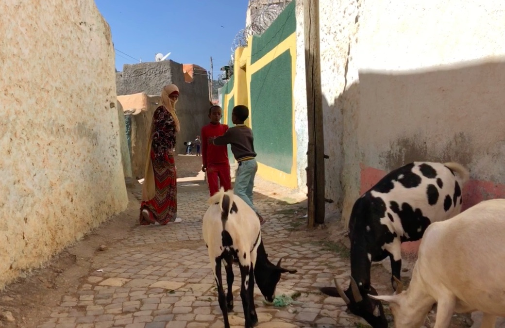 Ethiopie : l&rsquo;étrange bestiaire d&rsquo;Harar/El extraño bestiario de Harar