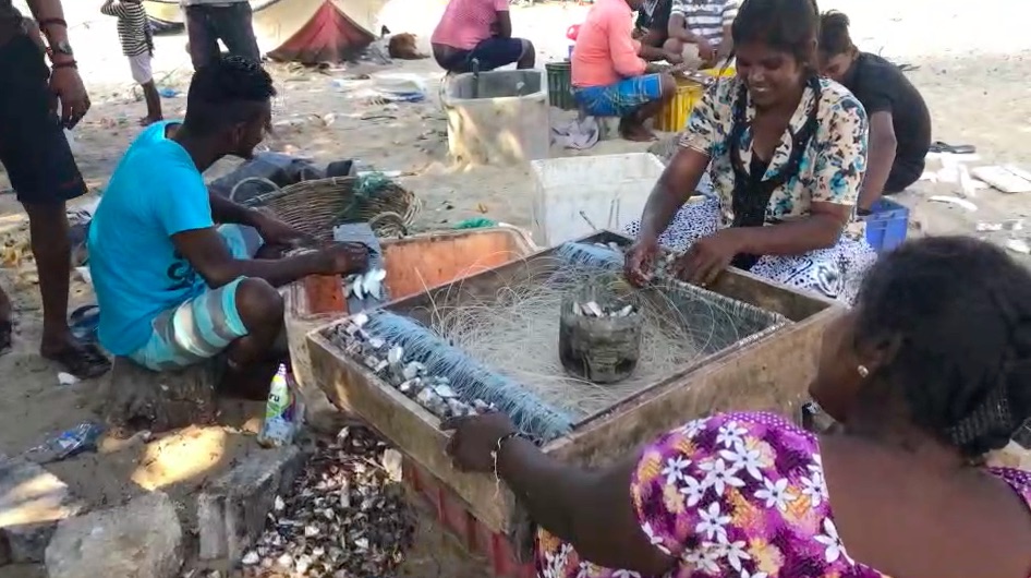 Sri Lanka : Jaffna, après la guerre / Jaffna, despues de la guera
