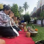 Sonorama > Visok Doy 2562