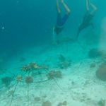 Papouasie : Wide Open Projects