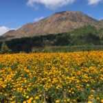 Bali : quand la Terre se réveille / Cuando la Tierra se despierta