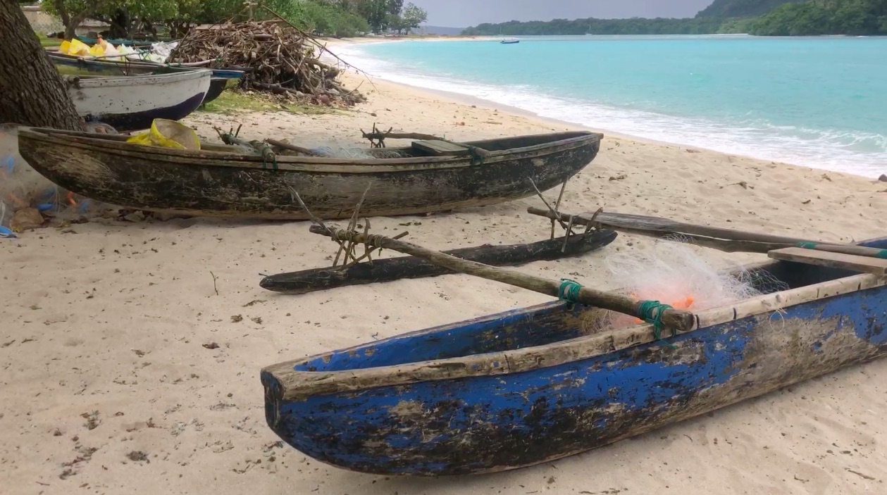 Vanuatu : la vache et les poissons / La vaca y los peces