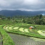 Sculptures naturelles à Bali / Esculpturas naturales en Bali