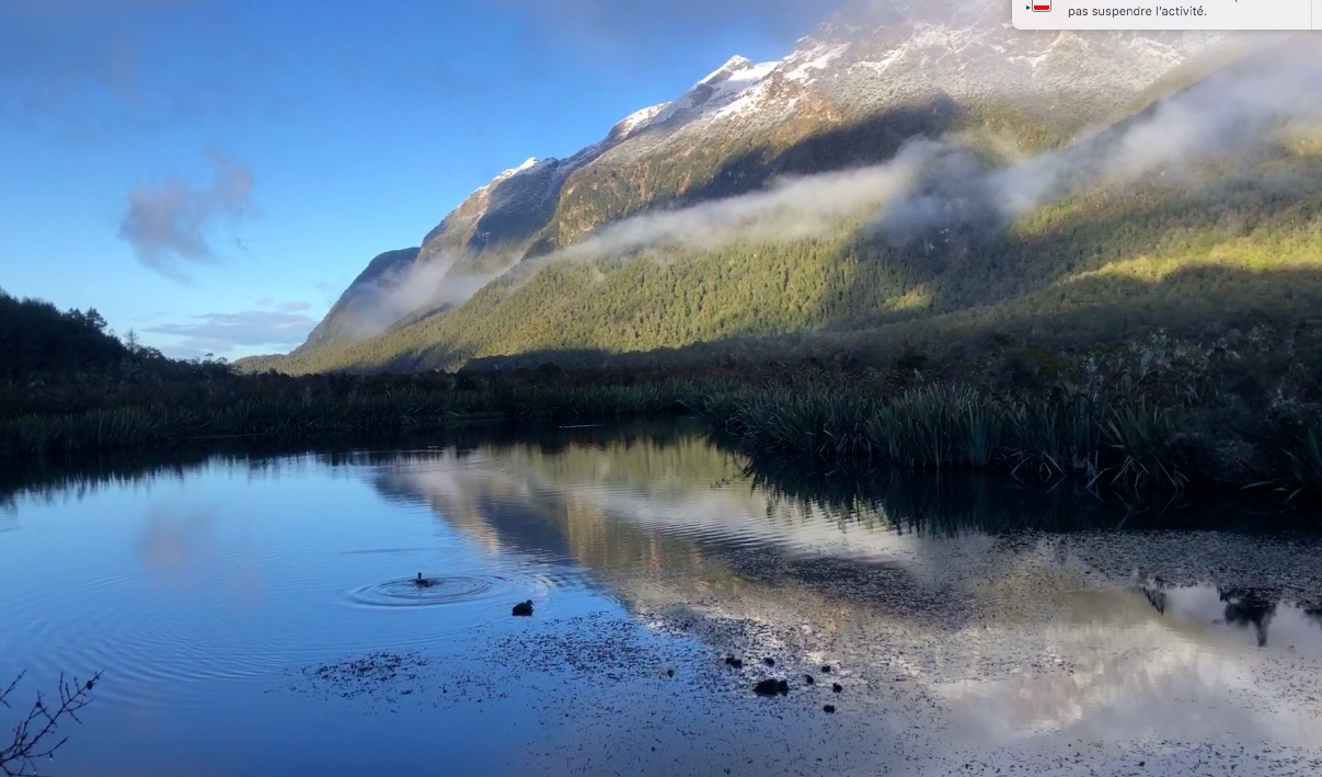 NZ : un printemps austral / Una primavera austral