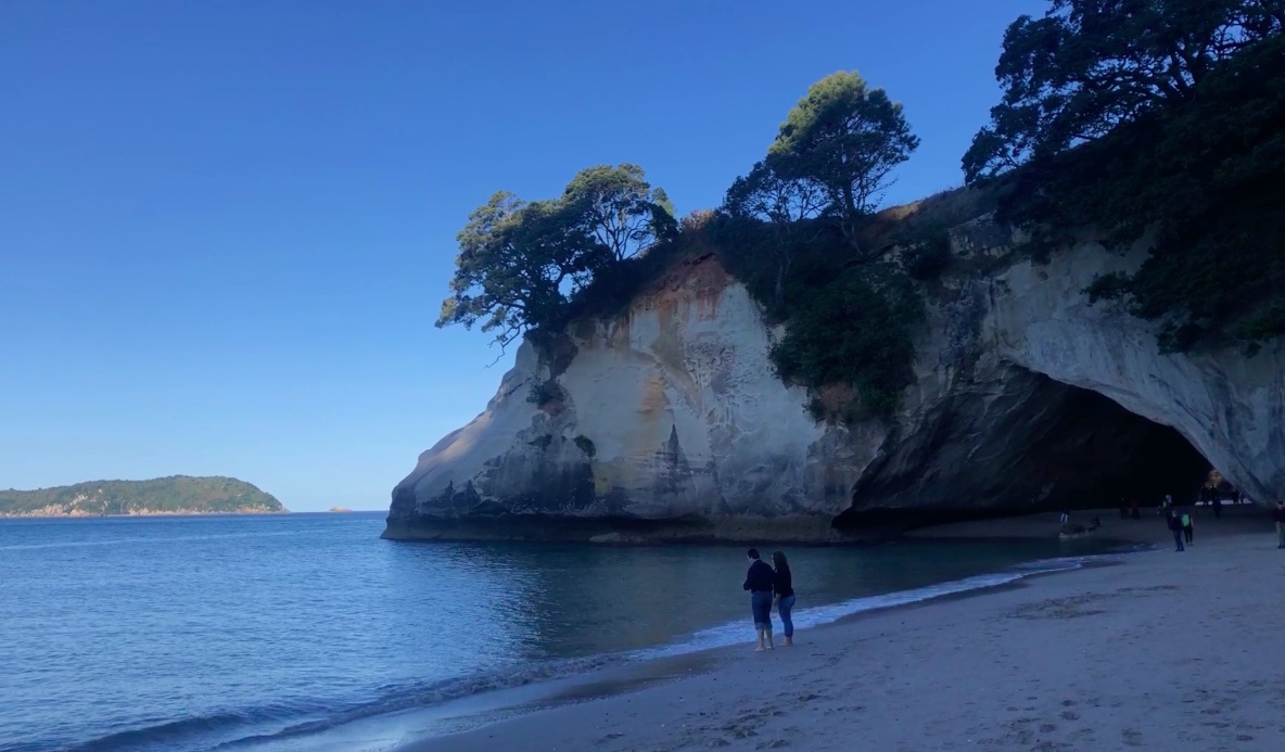 NZ : grandeur nature / Magnitud naturaleza