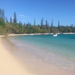 Passe-moi le pin / Pinos y más pinos