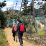 NZ : les banques et les baleines / Los bancos y las ballenas