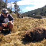 Un brin d&rsquo;Andalousie en Tasmanie / Un toque andaluz en Tasmania