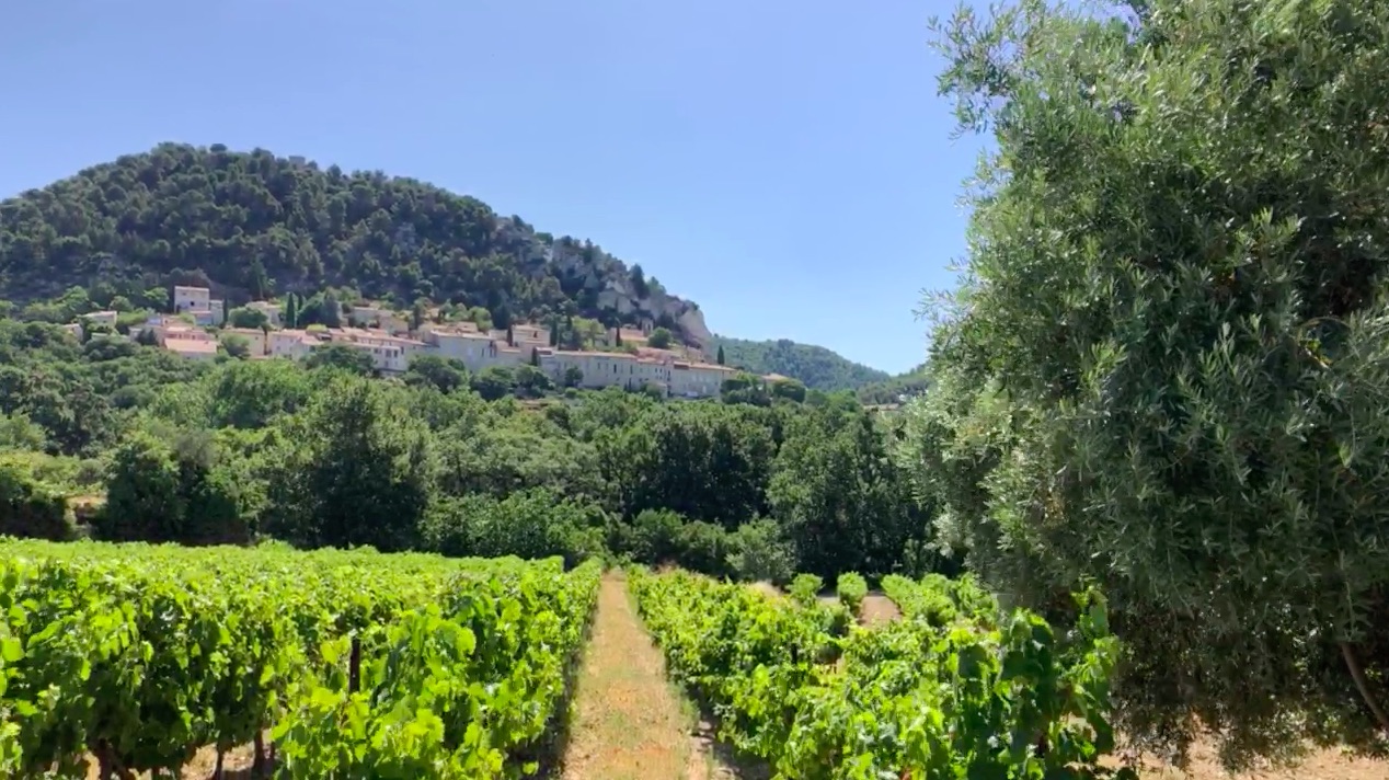 Les stars du Luberon / Las estrellas del Luberon