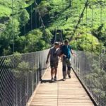 Larrau sur la montagne / Vista sobre los Pirineos