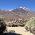 Sur les pentes du Teide / En los entornos del Teide