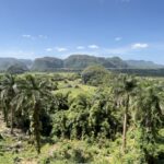 Viñales, Cuba la verte • Cuba la verde