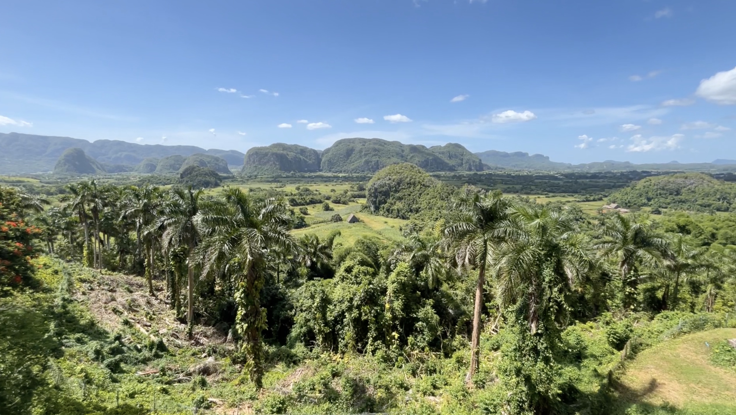 Viñales, Cuba la verte • Cuba la verde