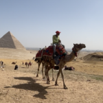 Le temps éternel des pyramides • El tiempo eterno de las pirámides