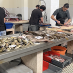 Une explosion florale à Madère • Explosión floral en Madeira