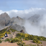 Sur les sommets de Madère • En las cimas de Madeira