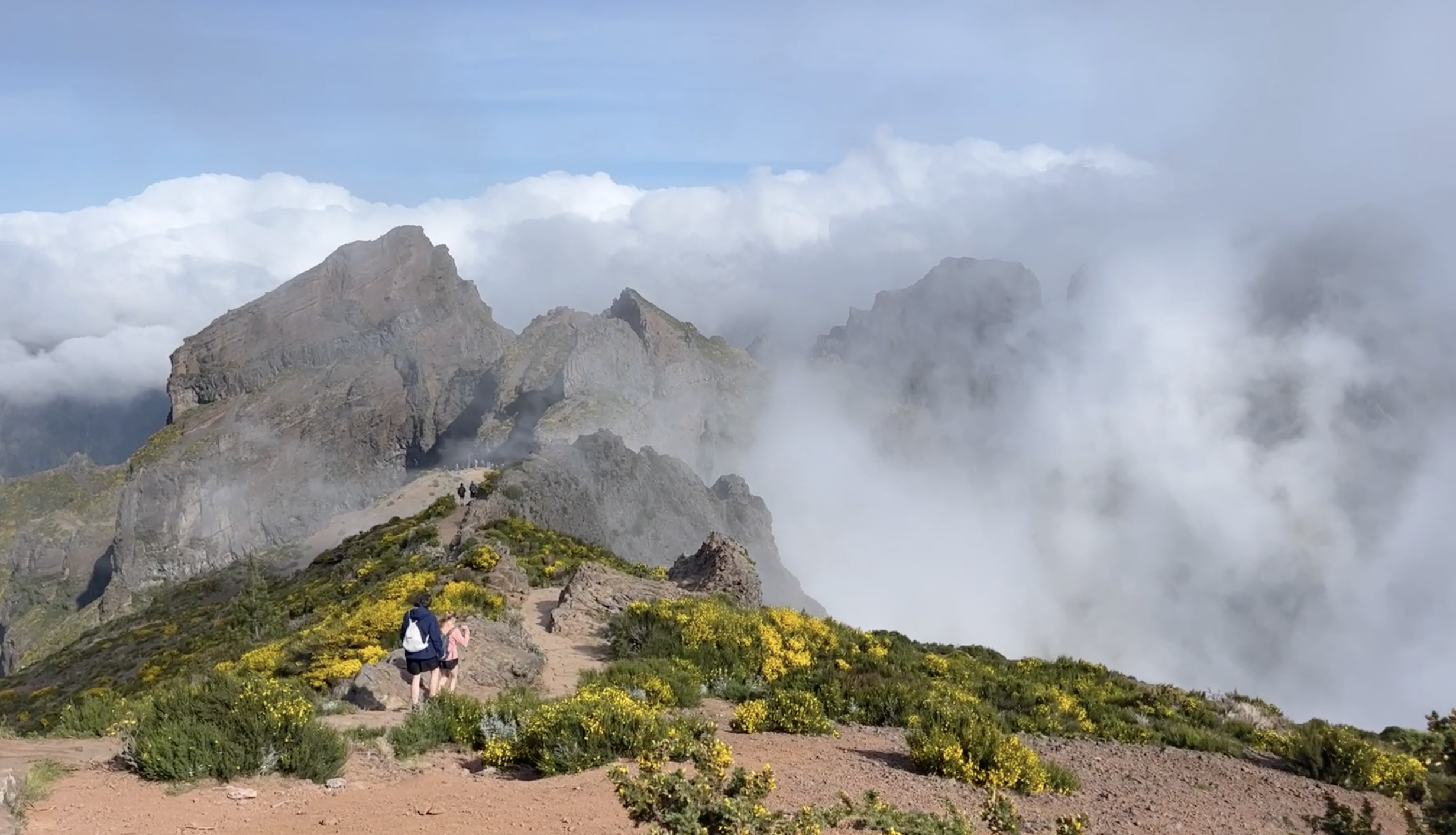 Sur les sommets de Madère • En las cimas de Madeira