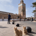 Marrakech, loin des souks • Marrakech, mas alla de los souks